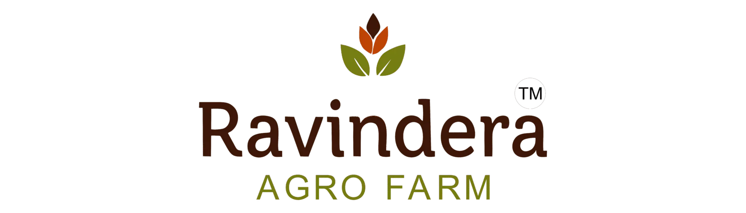 Client 4